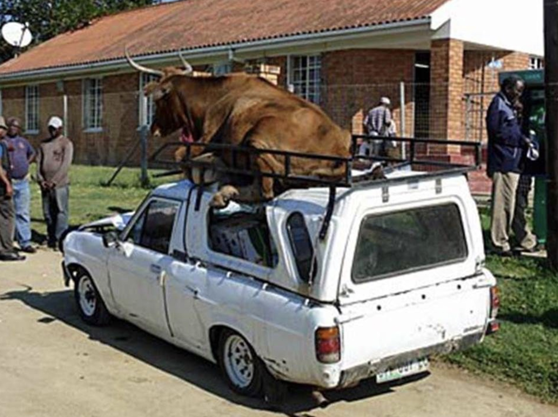 dacia pick-up